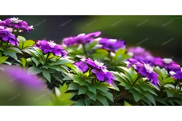 踏青北坡山庄，一壶茶香，尽享悠闲时光